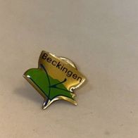 PIN Gemeinde Beckingen - HS