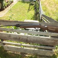 Luftgewehr Haenel 304 mit braunem Scornaterschaft