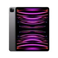 Apple iPad Pro 11 (2022) 8 GB RAM 128 GB iPadOS 12 MP WiFi Spacegrau - Kaufen