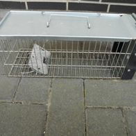 Praknu XXL Lebendfalle für Ratten, Siebenschläfer und Nagetiere - Extra Groß 41 cm
