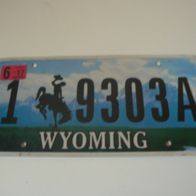 US Nummernschild Wyoming Motiv 1