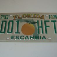 US Nummernschild Florida