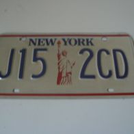 US Nummernschild New York