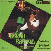 7 Vinylcover Bernd Ebenau * Im Weindorf