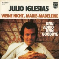 7 Vinylcover Julio Iglesias * Weine nicht Marie Madeleine