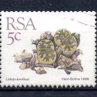 Südafrika Nr. 745 gestempelt (2607)