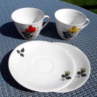 Geschirrteile von Seltmann Weiden K