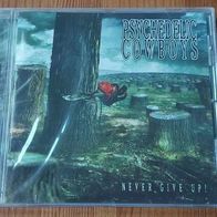 Psychedelic Cowboys - Never give up! (2003) psych rock cosmic country CD neu S/S