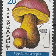 Bulgarien Michel 3547 Postfrisch * * - Pilz Königsröhrling