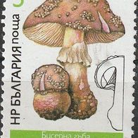 Bulgarien Michel 3546 Postfrisch * * - Perlpilz
