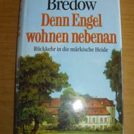 Buch: Denn Engel wohnen nebenan - Rückkehr in die märkische Heide