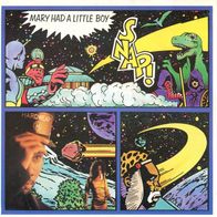 7 Vinylcover Snap * Mary had a little Boy