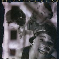 7 Vinylcover 3 D * Stand by me