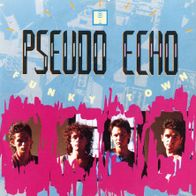 7 Vinylcover Pseudo Echo * Funky Town