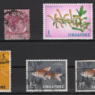 Älteres Lot Briefmarken 5 Stück Singapur Singapore Malaya Asien RAR Selten