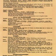 Luftschutz Hausapotheke Anwendung Anleitung ca. DIN A4 1940 Wehrmacht WH Repro