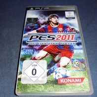 Pro Evolution Soccer PES 2011 *