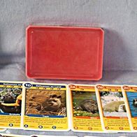 Kartenspiel - Quartett - Geheimnisvolle Tiere - NEU OVP