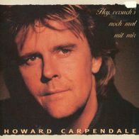 7 Vinylcover Howard Carpendale * Hey versuch´s noch mal mit mir