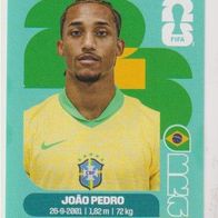Panini Fussball WM 2026 João Pedro BRA Bild Nr 16