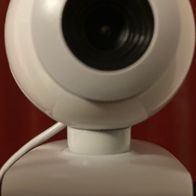 Logitech QuickCam Express Plus oder QuickCam Express/Go, V-UAP41 861232-0000 Webcam