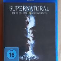 Supernatural - Die komplette vierzehnte Staffel Blu-ray (3 Discs)