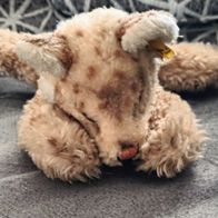 Steiff Löwe Floppy Leo 23 cm Nr. 5317/17