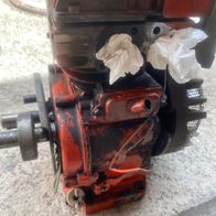 Motor Agria 5300 400 B&S