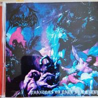 Gauntlet Ring - Phantoms of dark symmetry - CD (NEU)