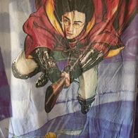 Wendebettwäsche Harry Potter Harry und Quidditch Knöpfe 135 * 200