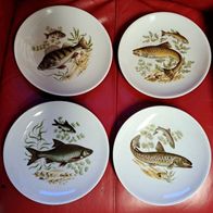 Neu 4 Wandteller Germany Vohenstrauss Wandschmuck Fisch 2x Forelle Barsch Brasse