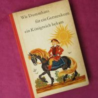 Wie Dummhans für ein Gerstenkorn ein Königreich bekam Märchen Buch Ostseeküste