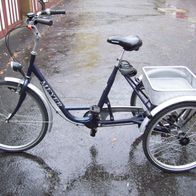 Meyer City Seniorenrad Erwachsenen Dreirad Korb 4Gang Rad Stabil