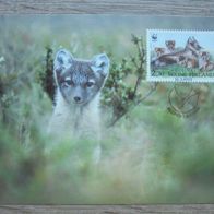 Finnland MK Maximumkarte 1204 - WWF Naturschutz Polarfuchs Tiere Fuchs 1993