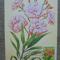 S. Tome MK Maximumkarte 571 - Blumen 1979