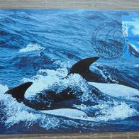 Australien Antarctic Territory MK Maximumkarte - Wale Orca Tiere 1 1995