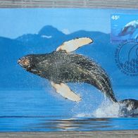 Australien Antarctic Territory MK Maximumkarte - Wale Orca Tiere 2 1995