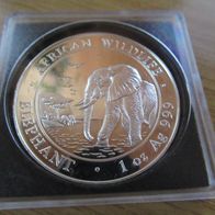 Somalia Elefant 2010, 1oz 999 Silber, 100 Shillings, gekapselt