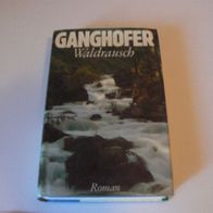 Buch Roman Waldrausch / von Ganghofer