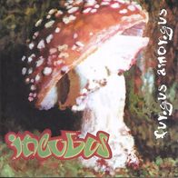 Incubus --- Fungus Amongus