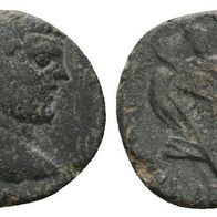 Römisches Kaiserreich Kleinbronze AE "CARACALLA (196-217)", 3,98 g.
