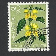 Schweiz, 1975, Mi.-Nr. 1065, gestempelt