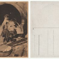 alte Ansichtskarte von 1947 mit Hunden, AK 25 Postkarte