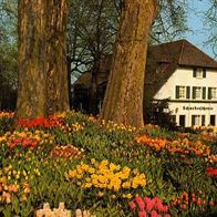 78462 Konatanz - Litzlstetten Insel Mainau Gasthaus > Schwedenschänke <