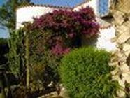 Zum Shop: Jardines de Jaravia