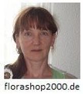 Zum Shop: Florashop2000