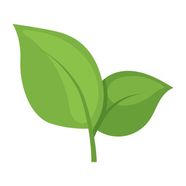 Zum Shop: JoesGarden