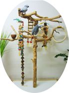 Zum Shop: Freisitz24