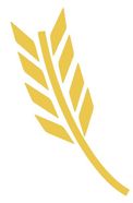 Zum Shop: Raiffeisen-Markt Online
