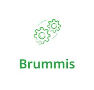 Zum Shop: Brummis
